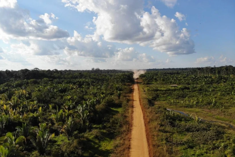 BR-319 tem intensa venda de terras antes do asfalto, e grilagem devasta floresta – ClimaInfo