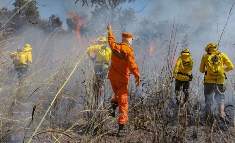 tocantins-perdeu-mais-de-800-mil-hectares-com-queimadas-em-2025