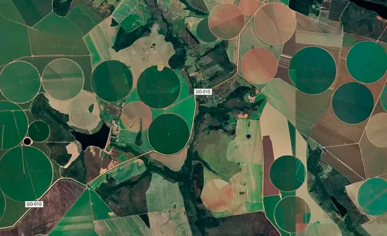 cerrado-perdeu-quase-30%-de-vegetacao-nativa-em-40-anos-–-climainfo