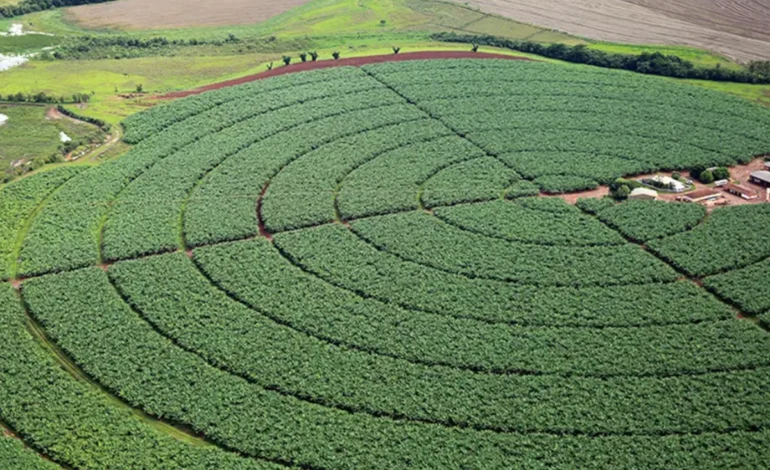 cade-decide-suspender-moratoria-da-soja-a-partir-de-janeiro-de-2026-–-climainfo