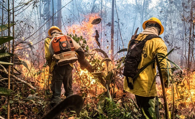 cop30:-governo-fara-campanha-para-evitar-que-evento-vire-“cop-da-fumaca”-–-climainfo