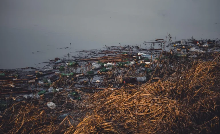 sete-em-cada-10-praias-brasileiras-estao-contaminadas-por-microplasticos-–-climainfo