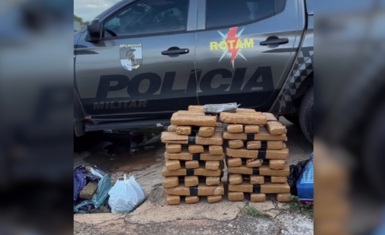 denuncia-anonima-leva-pm-a-apreender-81-kg-de-maconha-em-setor-de-palmas