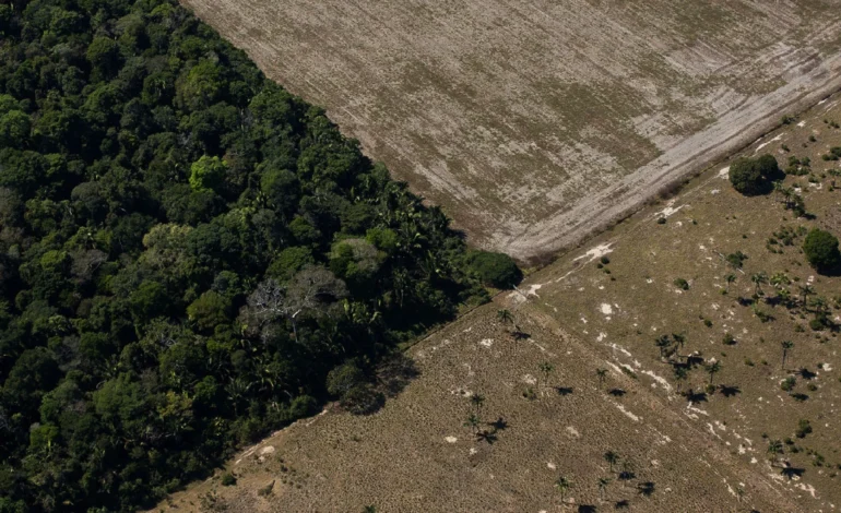 indigenas-se-preparam-para-a-cop30-preocupados-com-ofensiva-contra-moratoria-da-soja-–-climainfo