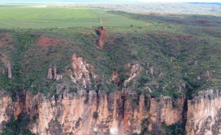 agricultores-sao-multados-por-crime-ambiental-nas-serras-gerais