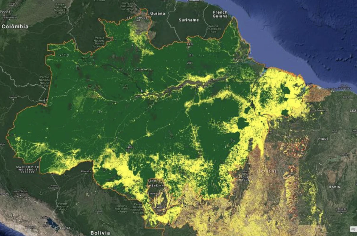 Amazônia tem 3ª menor taxa de desmatamento em quase 40 anos – ClimaInfo