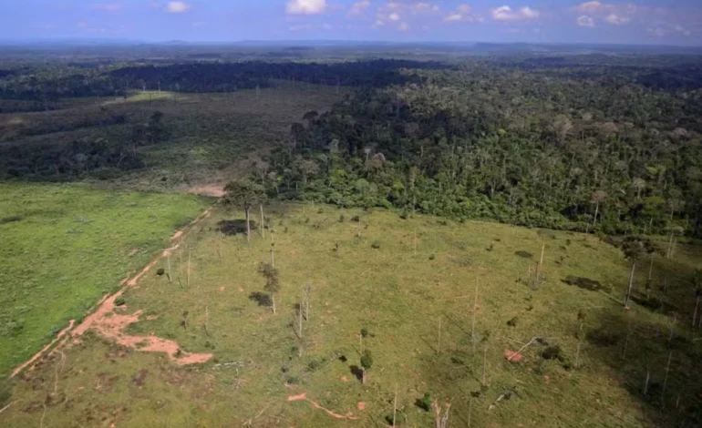 stf-suspende-todos-os-processos-sobre-a-moratoria-da-soja-–-climainfo