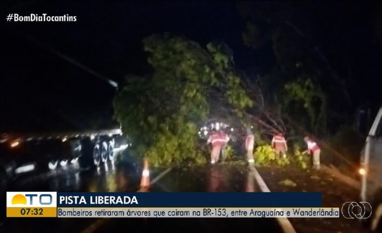 videos:-bom-dia-tocantins-de-quinta-feira,-6-de-novembro-de-2025