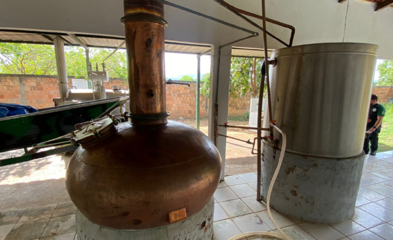 operacao-em-fabricas-clandestinas-apreende-11-mil-litros-de-cachaca