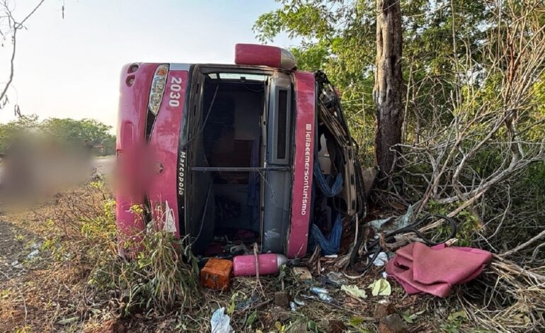 dois-passageiros-de-onibus-que-tombou-na-br-230-seguem-internados