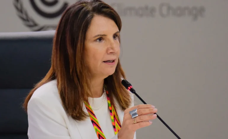 “nao-podemos-mais-achar-que-esse-sistema-vai-resolver-os-problemas”,-diz-ceo-da-cop30-–-climainfo