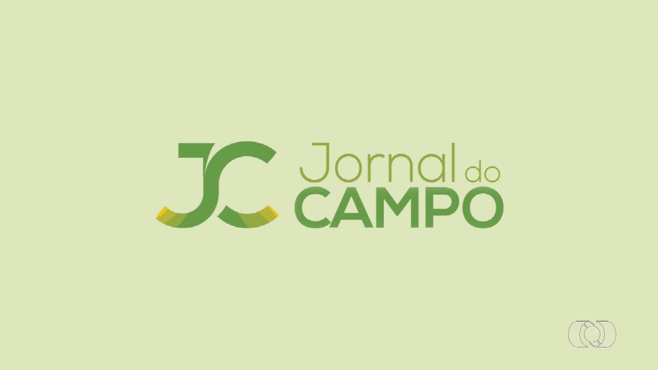 VÍDEOS: Jornal do Campo TO de domingo, 30 de novembro de 2025