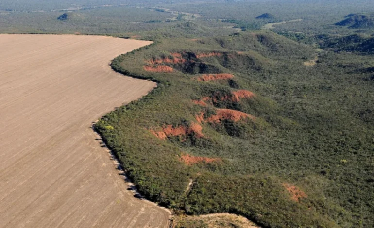 Deputados e senadores avançam com MP da licença “express” – ClimaInfo
