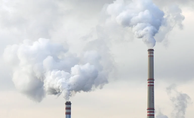 avancam-conversas-para-harmonizar-mercados-regulados-de-carbono-–-climainfo
