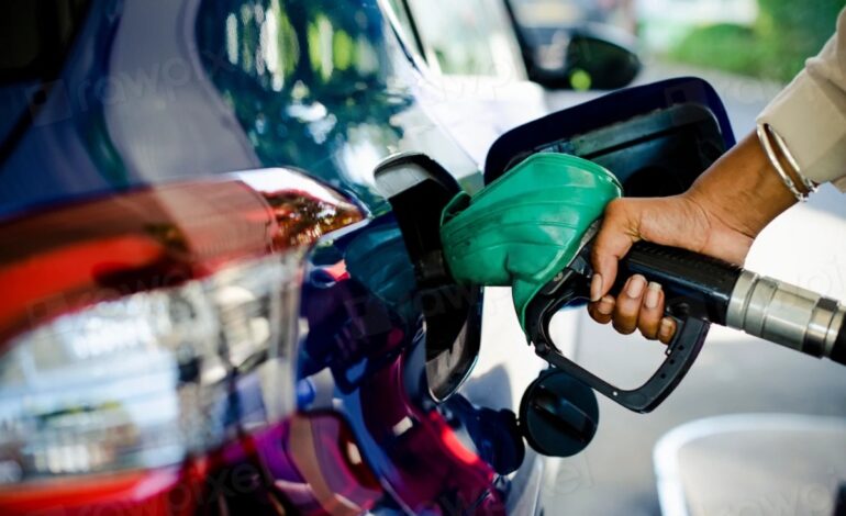 ue-deve-adiar-banimento-de-veiculos-movidos-a-combustiveis-fosseis-–-climainfo