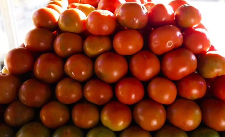 inflacao-da-comida-em-casa-cai-0,2%-em-novembro,-sexto-recuo-seguido