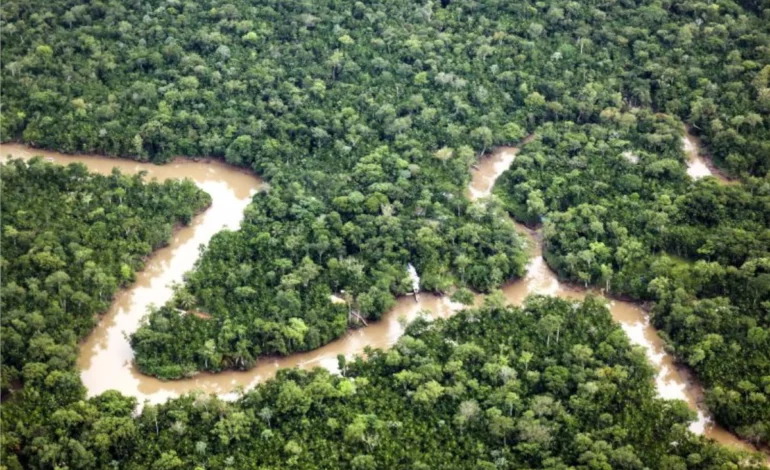 governo-regulamenta-comite-tecnico-do-mercado-brasileiro-de-carbono-–-climainfo