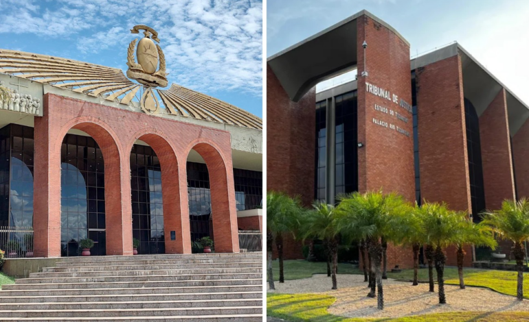 mesmo-com-falta-de-efetivo,-pc-tem-investigadores-e-delegado-cedidos-|-g1