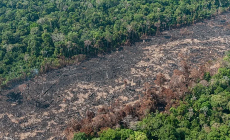 direito-indigena-e-moeda-de-troca-em-disputa-entre-congresso-e-stf,-diz-advogado-–-climainfo