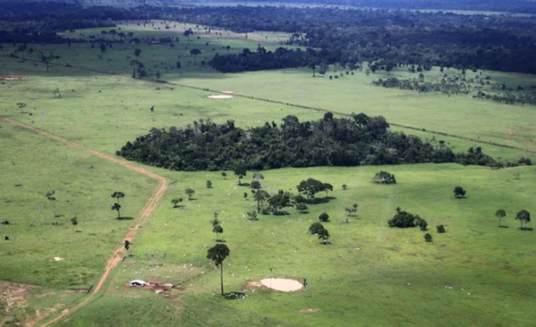 amazonia-tem-area-sem-destinacao-equivalente-a-3-paises-europeus -–-climainfo