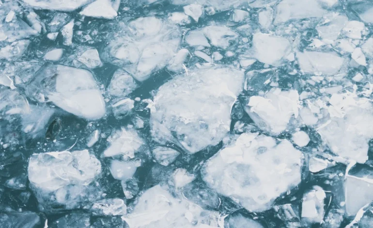 artico-teve-em-2025-seu-ano-mais-quente-desde-1900-–-climainfo
