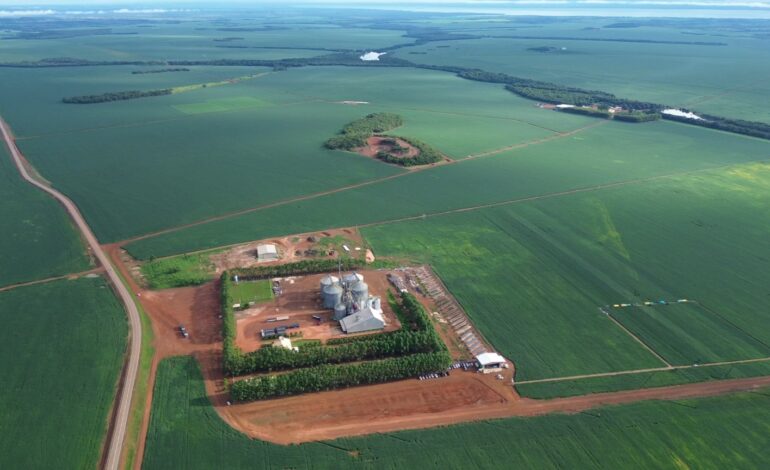 como-o-agronegocio-impulsiona-o-comercio,-os-servicos-e-o-pib-do-tocantins-|-g1