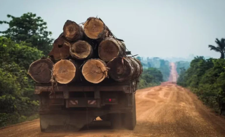 extracao-ilegal-de-madeira-cresce-44%-em-areas-protegidas-da-amazonia-legal-–-climainfo