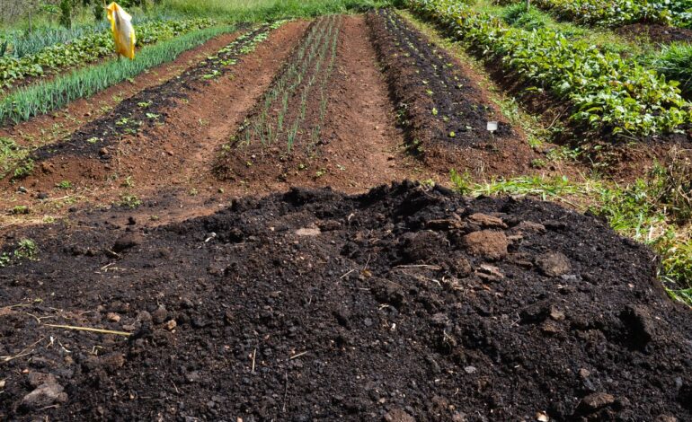 cmn-amplia-socorro-a-produtores-afetados-pelo-clima