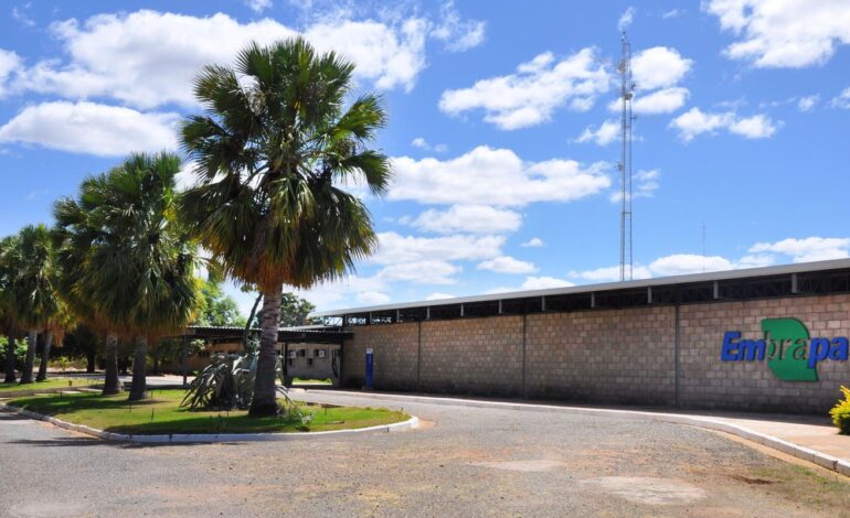 aplicativo-gratuito-da-embrapa-ajuda-a-planejar-barragens-no-semiarido