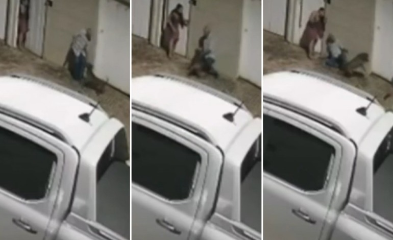 ataque-de-pitbull-deixa-homem-gravemente-ferido-em-palmas-|-g1