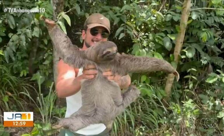 influenciador-ajuda-bicho-preguica-a-atravessar-rodovia-no-tocantins-|-g1