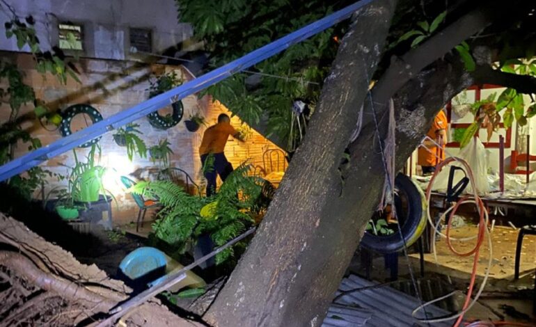 temporal-derruba-arvores,-destroi-telhados-e-causa-estragos-em-palmas-|-g1