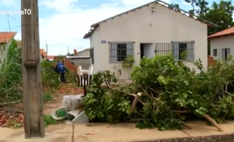 moradores-comecam-reconstrucao-apos-chuva-causar-destruicao-em-palmas-|-g1