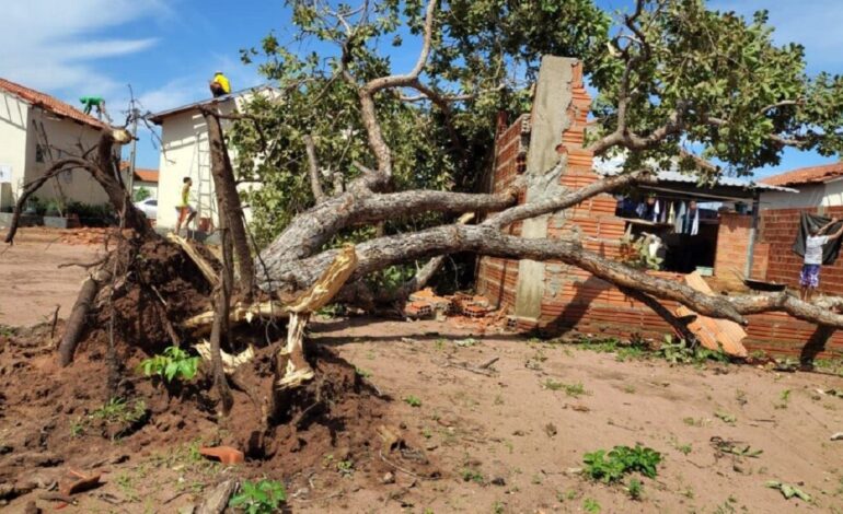 prefeitura-decreta-situacao-de-emergencia-apos-temporal-destruir-casas-|-g1
