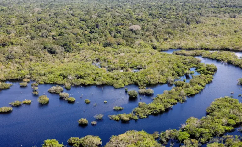 desmatamento-cai-na-amazonia-e-no-cerrado-pelo-2o-ano-consecutivo -–-climainfo