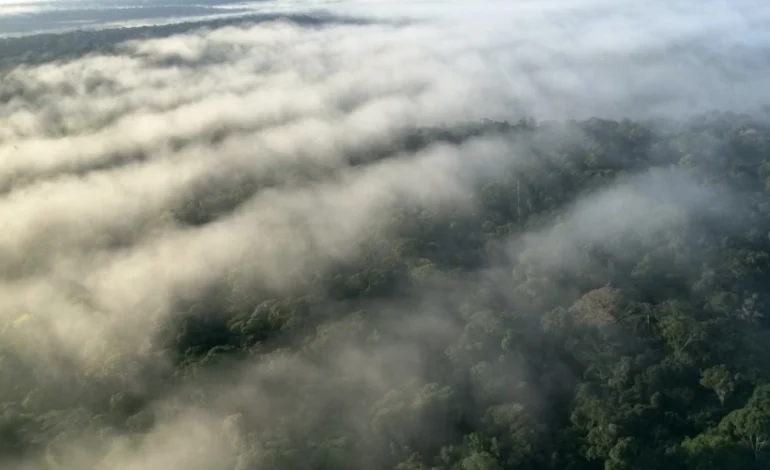 desmatamento-reduziu-chuvas-no-sul-da-amazonia,-conclui-estudo -–-climainfo