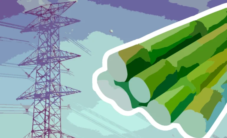 energia-solar-e-bioenergia-puxam-crescimento-de-empregos-verdes-no-brasil-–-climainfo