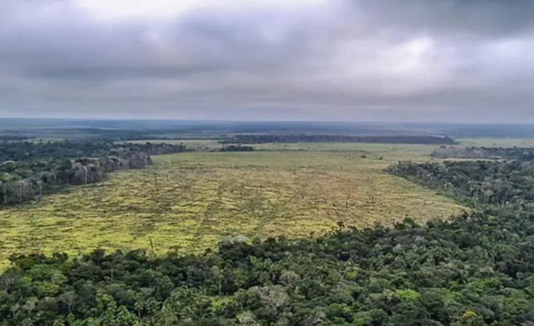 desmatamento-na-amazonia-reduz-chuvas-e-eleva-temperatura-em-3°c-–-climainfo