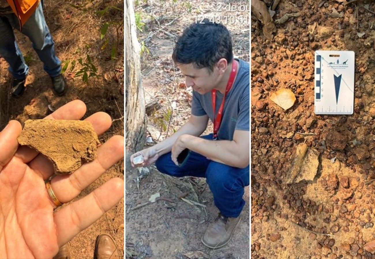Família descobre sítio arqueológico durante construção de cerca no TO | G1