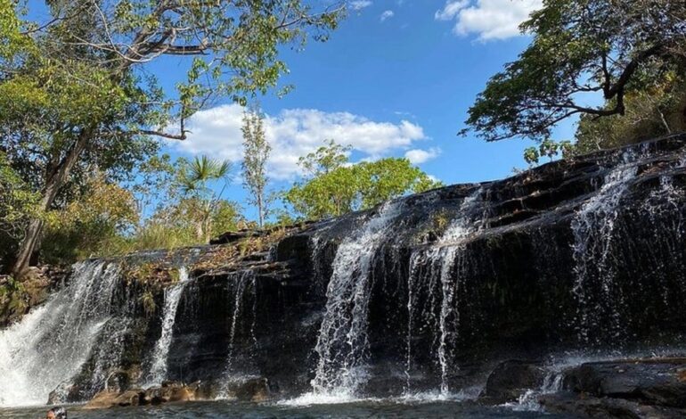 conheca-regiao-do-tocantins-onde-vivem-camelos-que-encantaram-a-web-|-g1