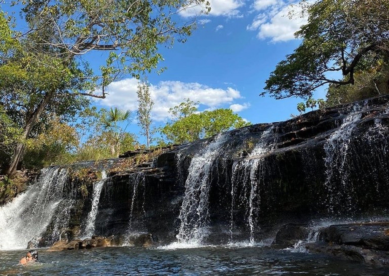 Conheça região do Tocantins onde vivem camelos que encantaram a web | G1