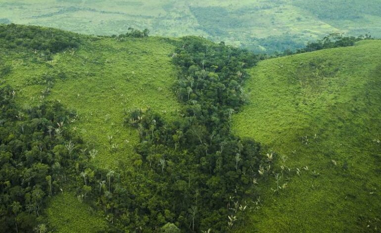 stf-determina-novas-medidas-para-combater-desmatamento-na-amazonia-–-climainfo