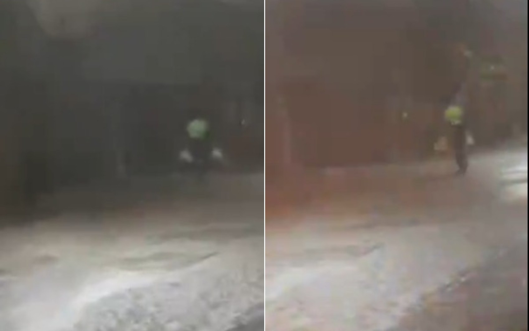 Gari advertido pela Prefeitura de Palmas após vídeo na chuva | G1