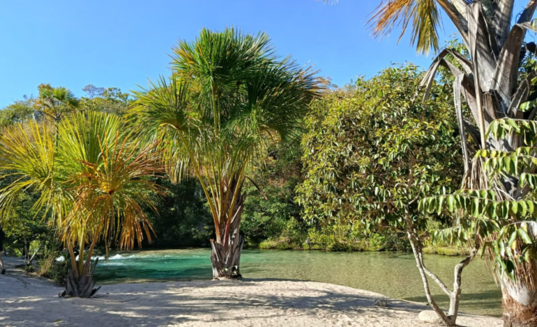 oasis-no-meio-do-cerrado-no-to:-veja-o-guia-pratico-para-visitacao-|-g1