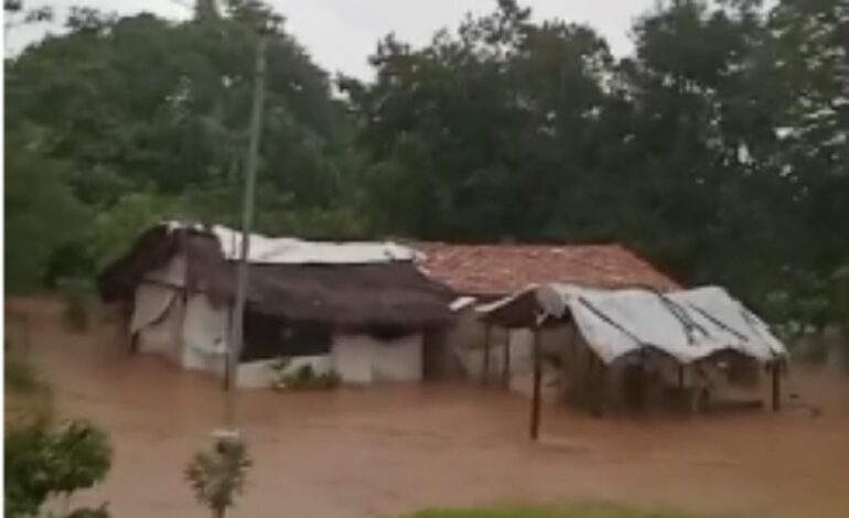 mulher-entra-em-desespero-ao-ver-casa-tomada-pela-agua-no-tocantins-|-g1