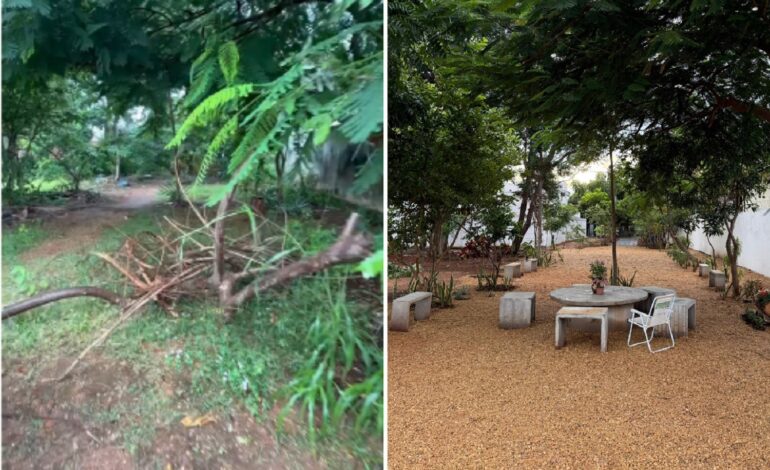 influenciador-se-muda-para-palmas-e-faz-mutirao-em-area-publica-|-g1