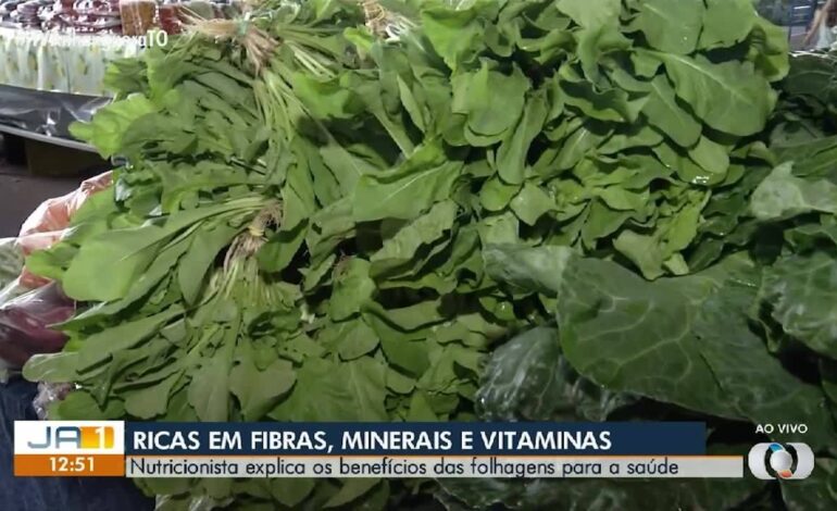 VÍDEOS: JA 2ª Edição – TO de terça-feira, 3 de março de 2026