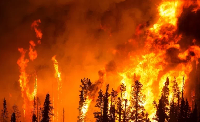 temporadas-de-incendios-florestais-estao-se-sobrepondo-em-todo-o-planeta-–-climainfo