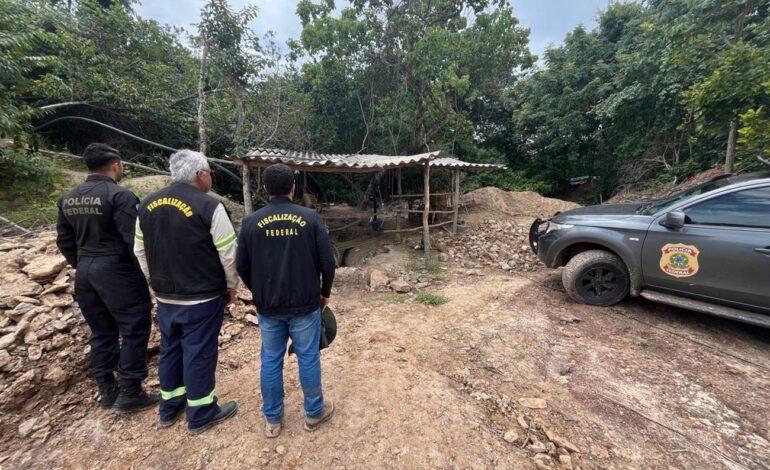 operacao-da-pf-fecha-garimpo-ilegal-de-ouro-e-prende-uma-pessoa-|-g1