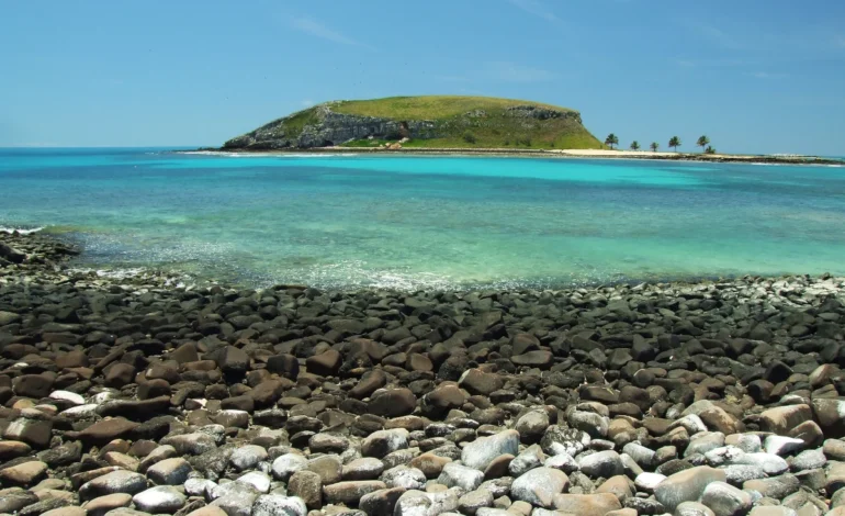 abrolhos-teve-perda-expressiva-de-corais-em-menos-de-20-anos-–-climainfo